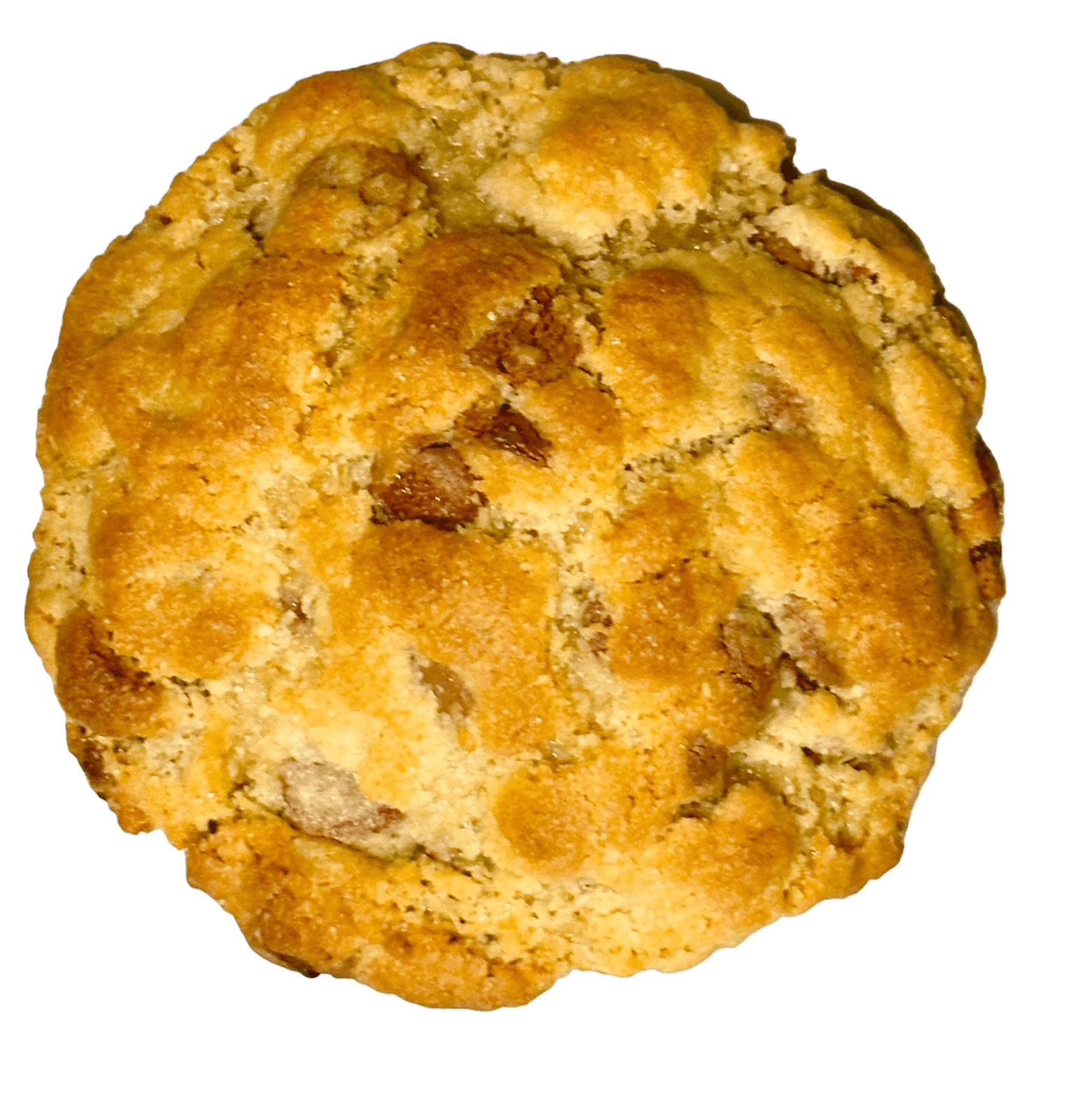 Photoroom_20240723_172205 2